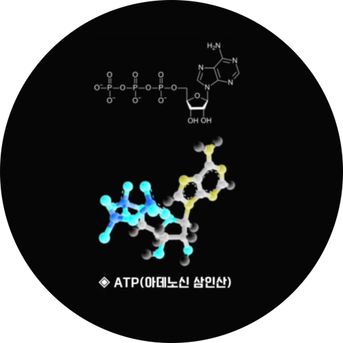 -adenosine
