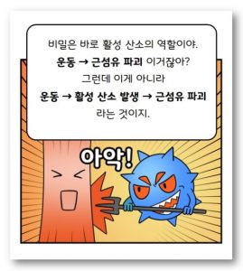 통증 염증 파열과 활성산소 : 활성산소가 근섬유를 파괴하는 장면 그림