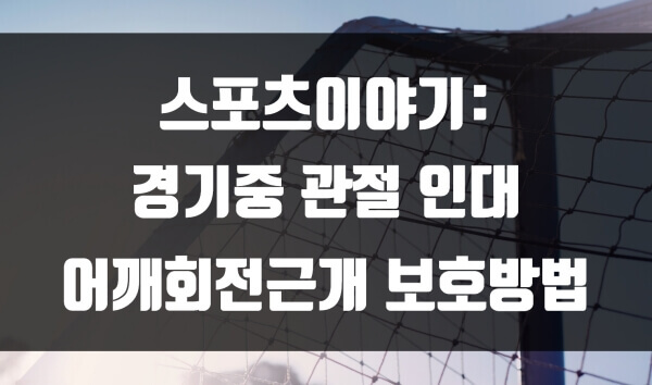 경기중 관절 인대 어깨회전근개 보호방법