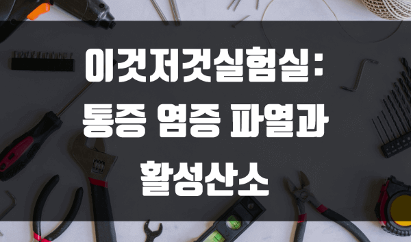 통증 염증 파열과 활성산소