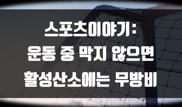 운동 중 막지 않으면 활성산소에는 무방비