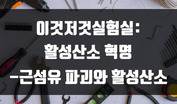 활성산소 혁명-근섬유 파괴와 활성산소